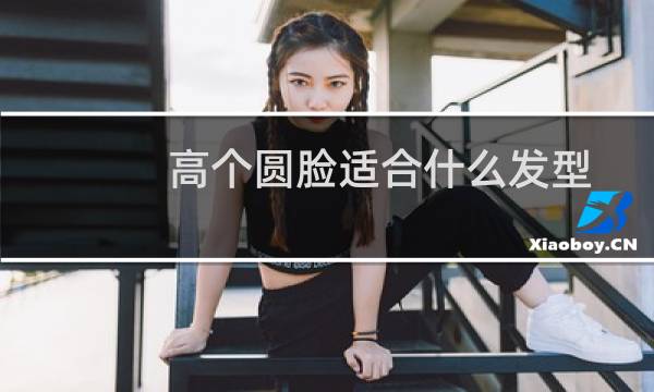 高个圆脸适合什么发型