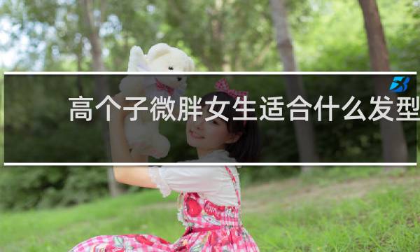 高个子微胖女生适合什么发型