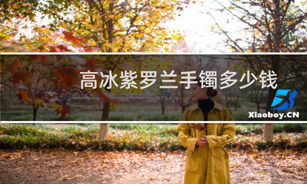 高冰紫罗兰手镯多少钱