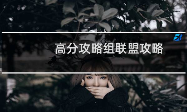 高分攻略组联盟攻略