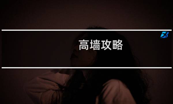 高墙攻略