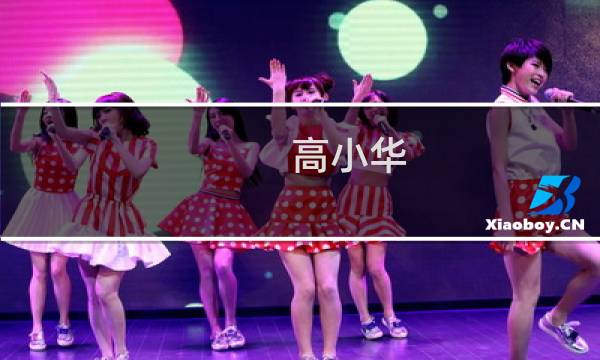 高小华 价格