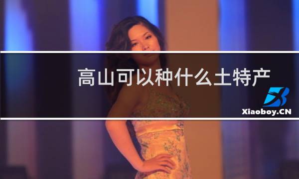 高山可以种什么土特产