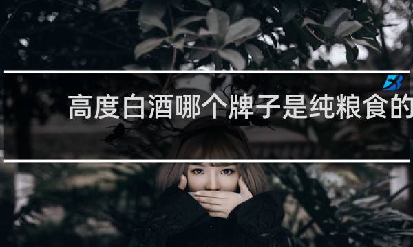 高度白酒哪个牌子是纯粮食的