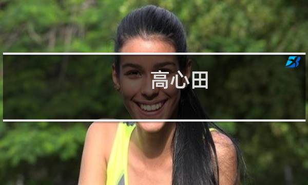 高心田 价格