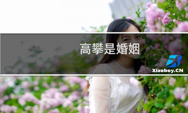 高攀是婚姻