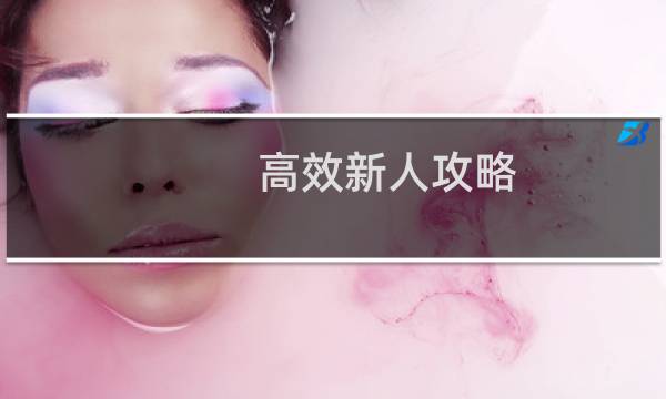 高效新人攻略