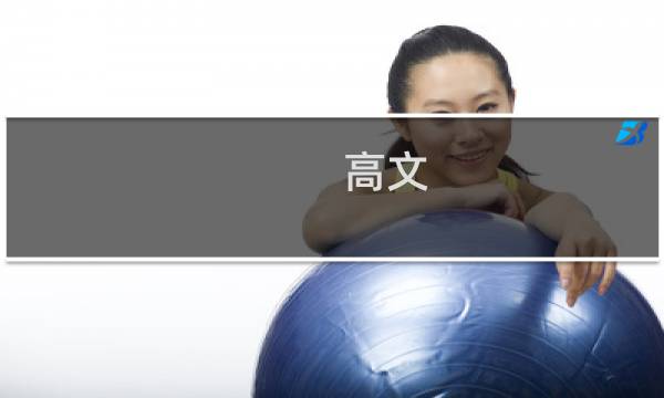 高文 攻略