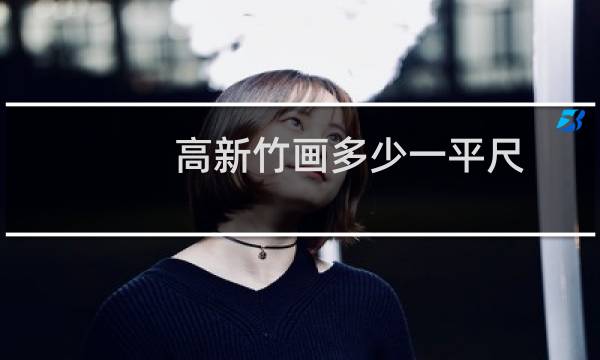 高新竹画多少一平尺