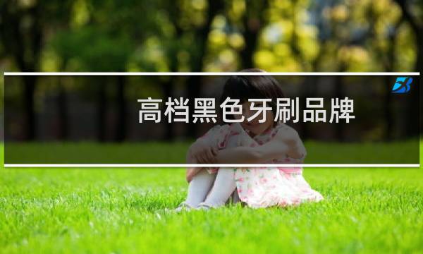 高档黑色牙刷品牌