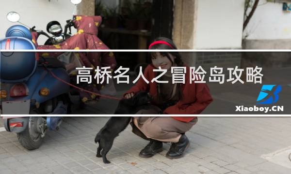 高桥名人之冒险岛攻略