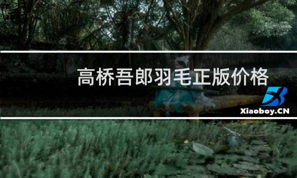 高桥吾郎羽毛正版价格