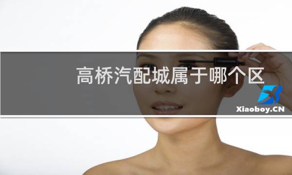 高桥汽配城属于哪个区