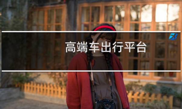 高端车出行平台