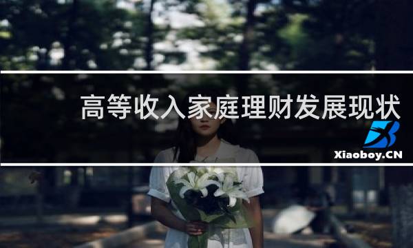 高等收入家庭理财发展现状