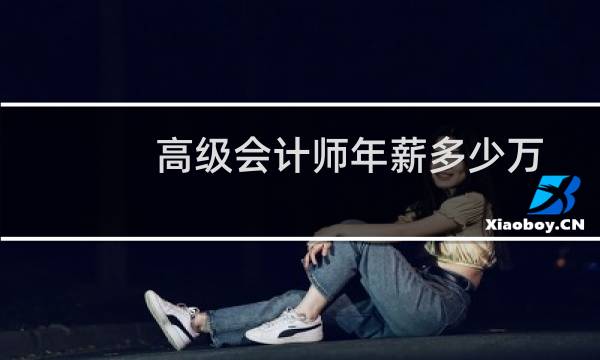 高级会计师年薪多少万