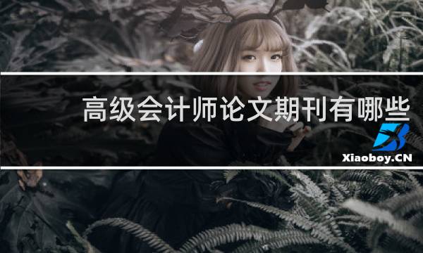 高级会计师论文期刊有哪些