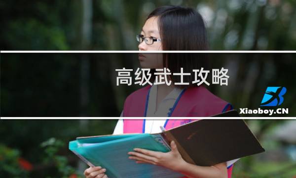高级武士攻略
