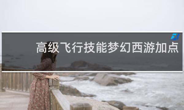 高级飞行技能梦幻西游加点