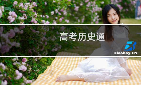 高考历史通