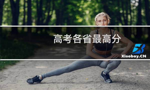 高考各省最高分