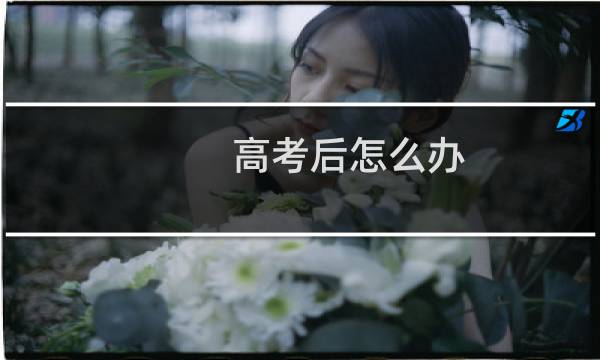 高考后怎么办