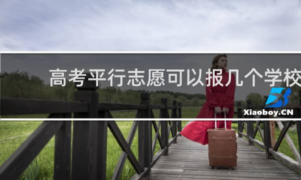 高考平行志愿可以报几个学校