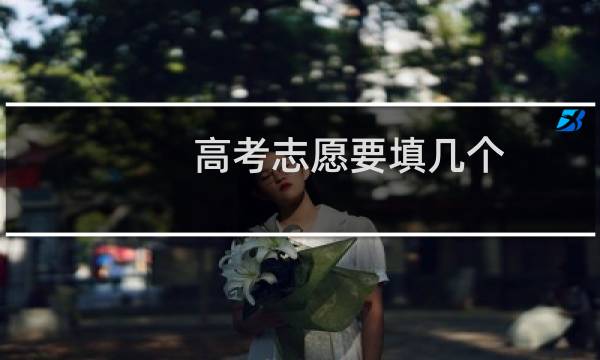 高考志愿要填几个