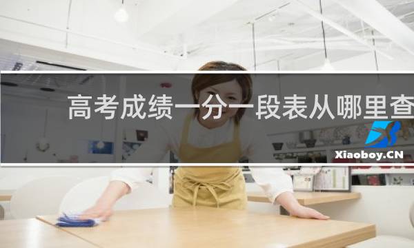 高考成绩一分一段表从哪里查