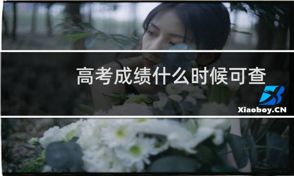 高考成绩什么时候可查