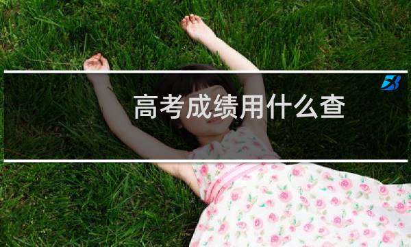 高考成绩用什么查