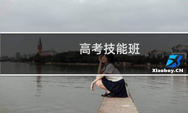 高考技能班