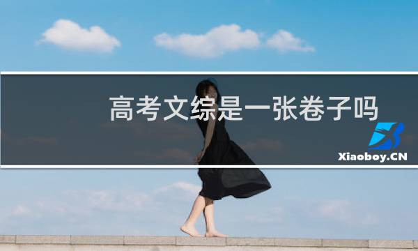 高考文综是一张卷子吗