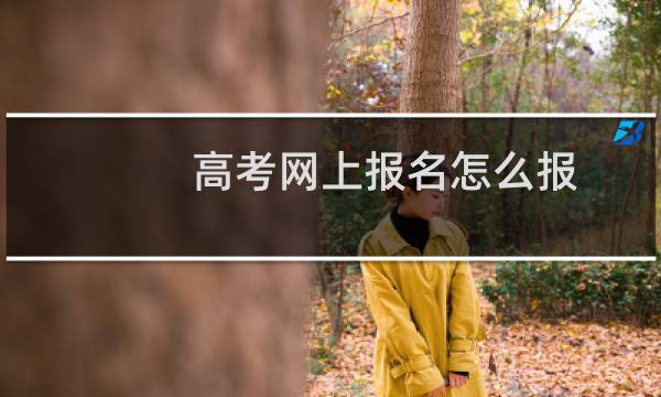 高考网上报名怎么报