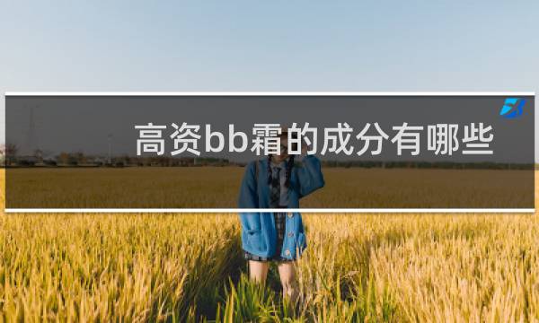 高资bb霜的成分有哪些
