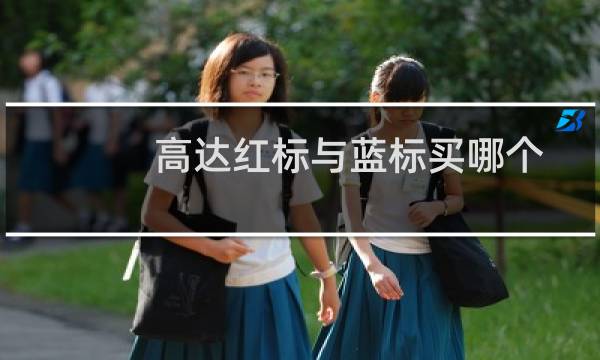 高达红标与蓝标买哪个