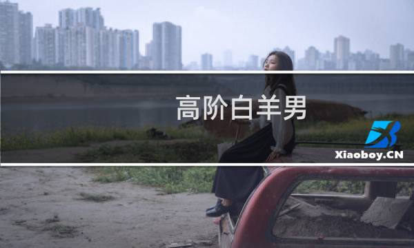 高阶白羊男