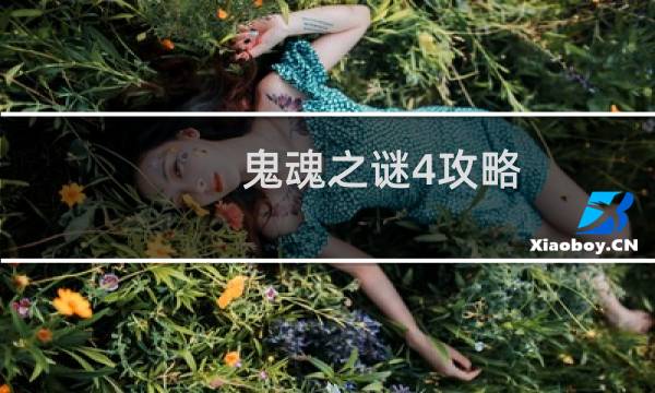 鬼魂之谜4攻略