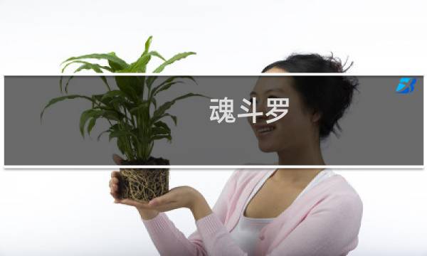 魂斗罗 花钻石攻略