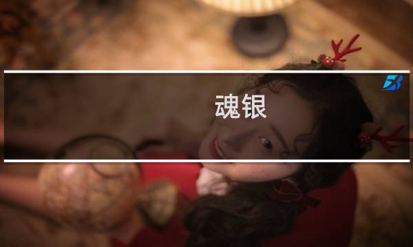 魂银 攻略