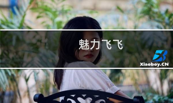 魅力飞飞 攻略