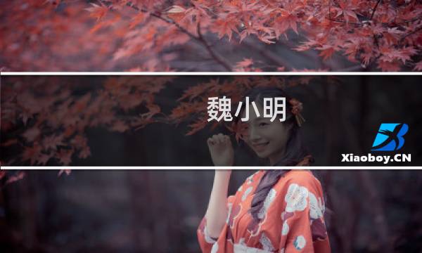 魏小明 作品价格