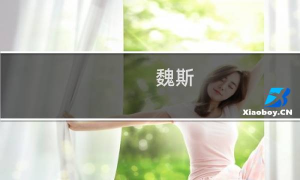 魏斯 最终幻想