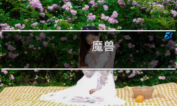 魔兽 最终幻想是什么