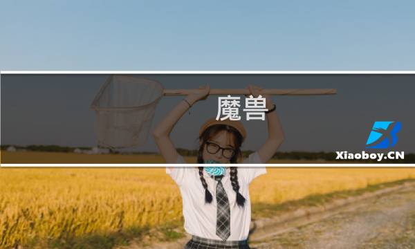 魔兽 猎人 攻略
