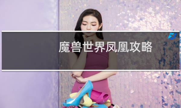 魔兽世界凤凰攻略