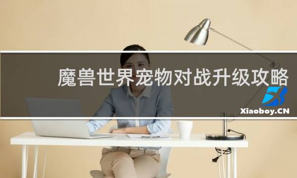 魔兽世界宠物对战升级攻略