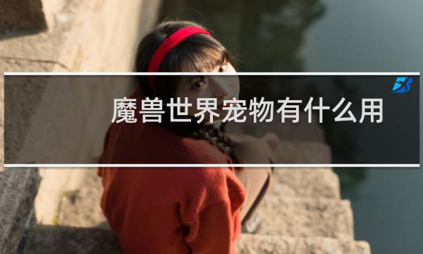 魔兽世界宠物有什么用