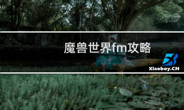 魔兽世界fm攻略