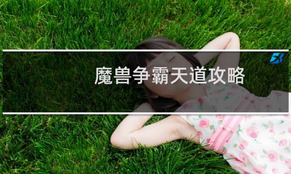 魔兽争霸天道攻略